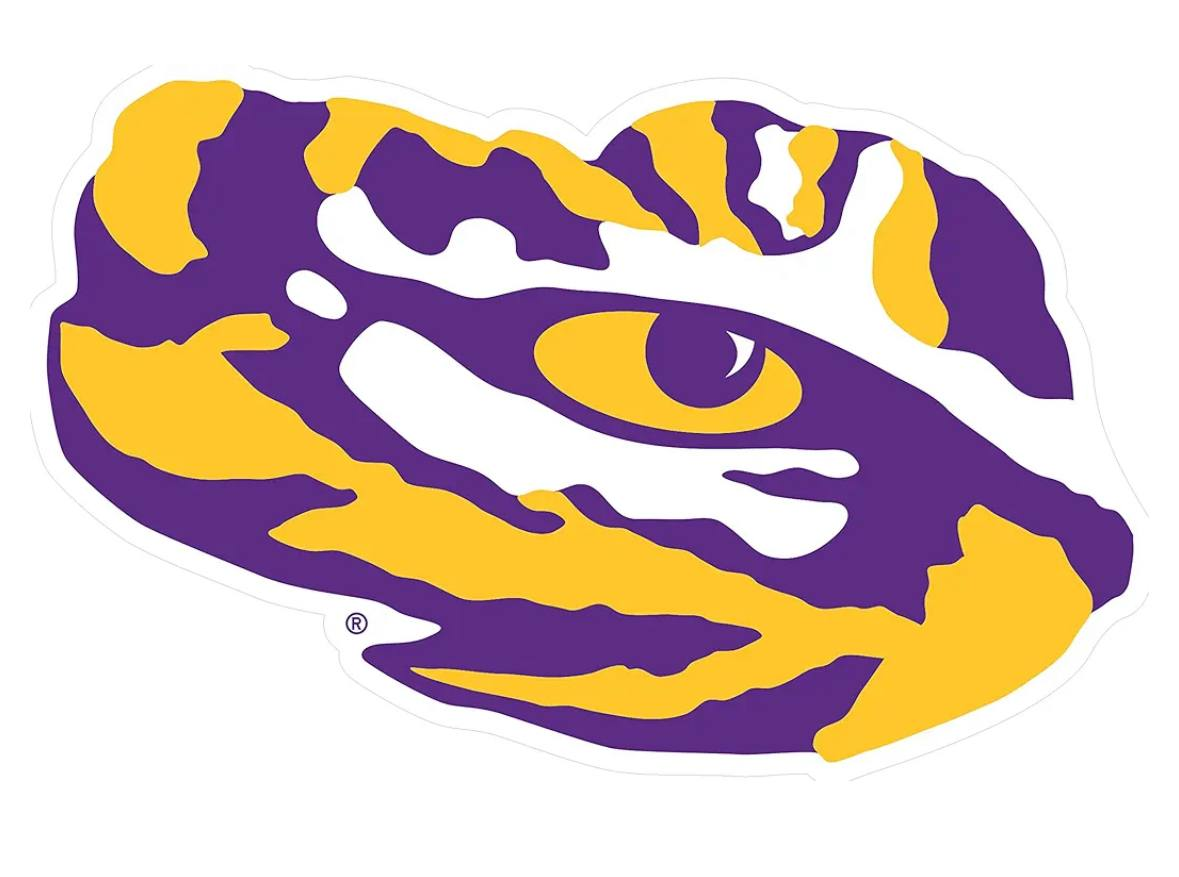 MOQ5-yoga -- Tiger CUSTOM  KIDS Girl skirt shorts