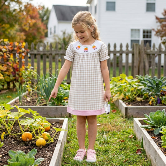 NO MOQ RTS GSD4258-smocked Baby Girl Clothes Gingham Check Embroidery Carrot Truck Allover Print Short Sleeve Dress 202610