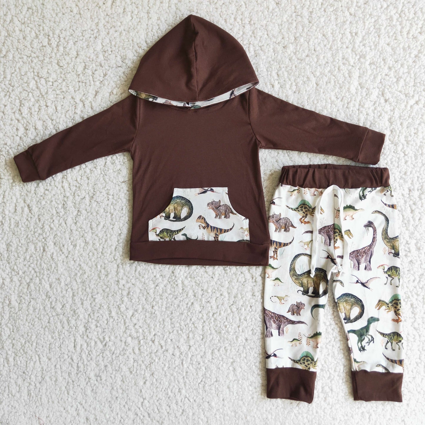 Cartoon brown dinosaur pocket boys hoodie outfits